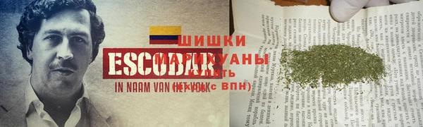 прущая мука Ельня
