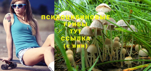 гидра Бутурлиновка