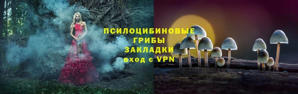 прущая мука Ельня