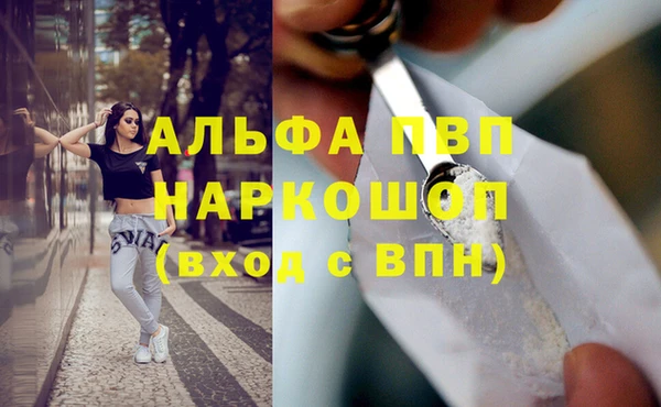 кокс Елизово