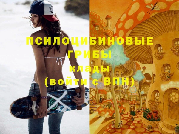 кокс Елизово