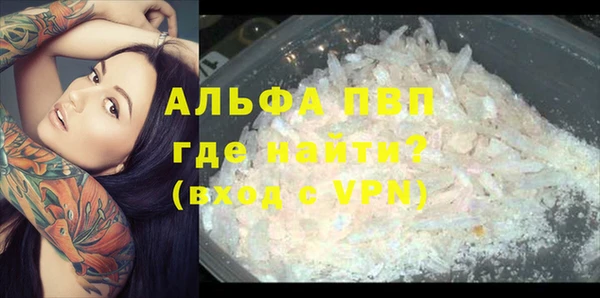кокс Елизово