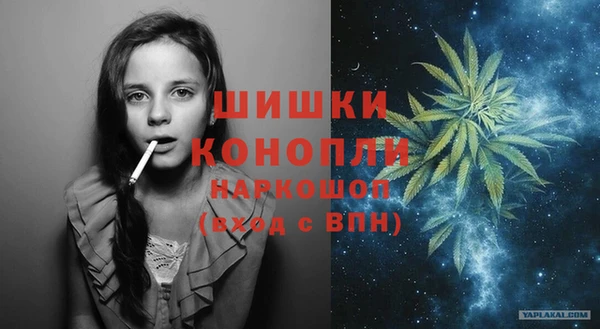кокс Елизово