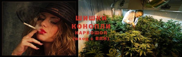 прущая мука Ельня